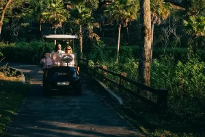 Guide to Buying Used Golf Carts: Tips and Insights